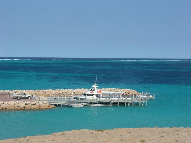 Coral Bay Ramp Closeup